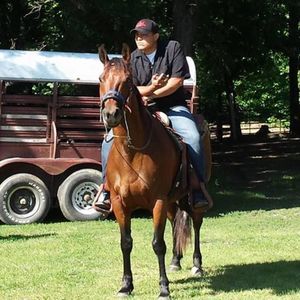 Meet your Posher, Trestan